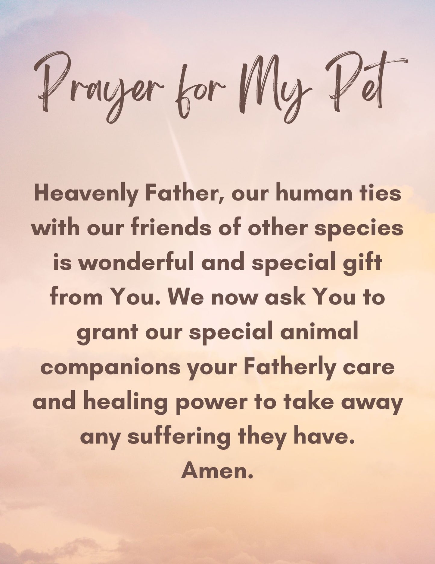 NCS St Francis of Assisi Prayer Card Prayer for my Pet Back