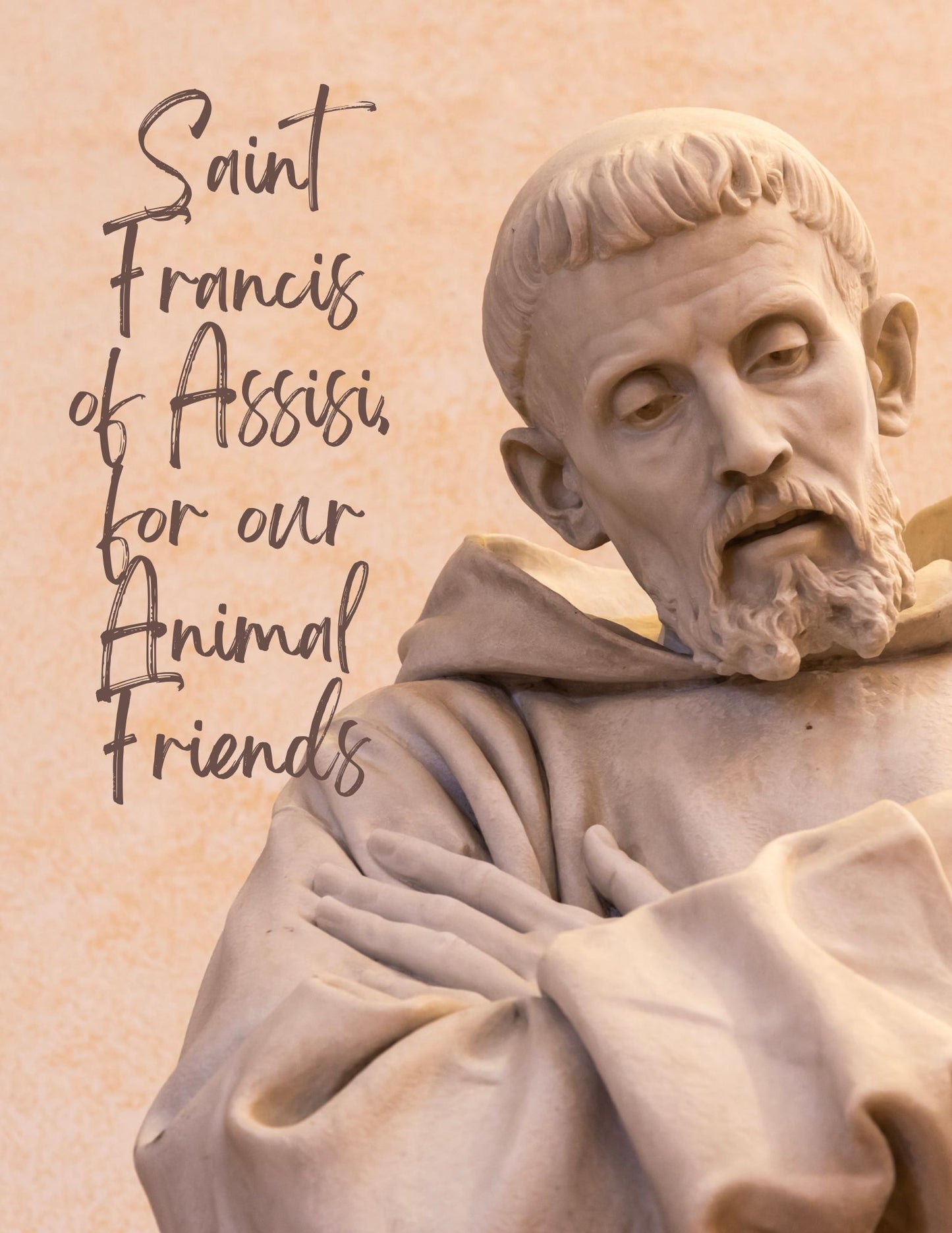 NCS St Francis of Assisi Prayer Card Prayer for My Pet Front